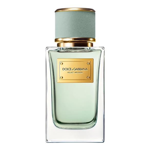 Velvet Infusion -  Eau De Parfum, DOLCE & GABBANA